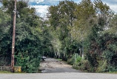 ΦΟΙΝΙΚΟΥΝΤΑ ΕΛΕΥΘΕΡΟΙ ΥΠΟΘΑΛΨΗ ΕΓΚΛΗΜΑΤΙΑ