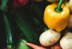 ΚΑΡΚΙΝΟΣ ΧΟΡΤΟΦΑΓΟΙ ΕΡΕΥΝΑ