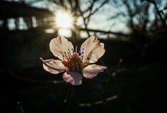 Καιρός - Κολυδάς: «Ο Μάρτιος δεν φαίνεται να επιβεβαιώνει τον χαρακτηρισμό του "γδάρτη"»