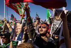 Welcome to the Jungle