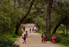 Παιδόκηπος Καρυδιά: Ένα ξεχωριστό νηπιαγωγείο που αγαπάνε παιδιά και γονείς 