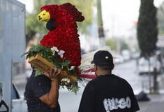 ΜΕΞΙΚΟ ΕΛ ΜΕΝΤΣΟ ΝΑΡΚΩΤΙΚΑ ΚΑΡΤΕΛ ΚΗΔΕΙΑ