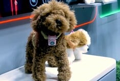 PETPHONE SMARTPHONE ΚΑΤΟΙΚΙΔΙΟ