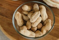 ΕΡΕΥΝΑ ΦΙΣΤΙΚΙΑ ΑΛΛΕΡΓΙΑ 