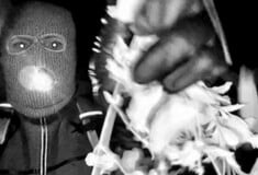 Savannah Guthrie: Αναπάντητα ερωτήματα καθώς η αναζήτηση της μητέρας της μπαίνει σε νέο μήνα