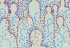 Όλα υπό έλεγχο