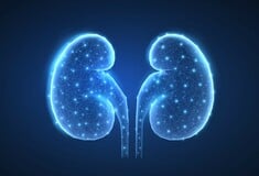 Παγκόσμια Ημέρα Νεφρού 