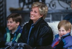 Πριγκίπισσα Νταϊάνα, Χάρι, Ουίλιαμ