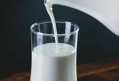 ΕΦΕΤ ΑΝΑΚΛΗΣΗ ΓΑΛΑ ΣΥΣΚΕΥΗ