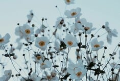 ΚΑΙΡΟΣ ΣΑΒΒΑΤΟ ΚΥΡΙΑΚΗ ΚΡΥΟ