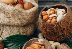 ΜΑΓΝΗΣΙΟ ΤΡΟΦΕΣ 