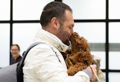 Τα κατοικίδια που μένουν πίσω όταν οι άνθρωποι φεύγουν από τη Μέση Ανατολή