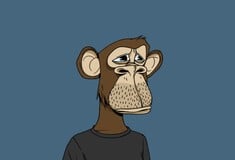 Από τα εκατομμύρια στα «ψίχουλα»: Η δραματική κατάρρευση των NFT 