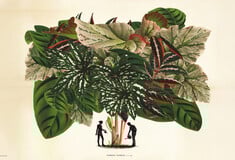 ΕΠΕΞ Φτιάξαμε ινσταγκραμικούς κήπους. Ξοδέψαμε περιουσίες. Τώρα μαράθηκαν όλα