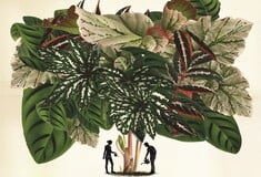 Φτιάξαμε ινσταγκραμικούς κήπους. Ξοδέψαμε περιουσίες. Τώρα μαράθηκαν όλα.