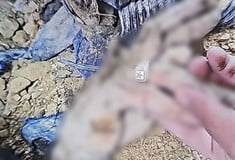 ΑΛΙ ΛΑΡΙΤΖΑΝΙ ΔΑΧΤΥΛΙΔΙ