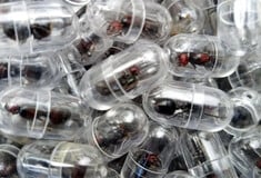 ΚΕΝΥΑ ΜΥΡΜΗΓΚΙΑ ΛΑΘΡΕΜΠΟΡΙΟ