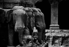 ΝΕΑΝΤΕΡΝΤΑΛ ΕΛΕΦΑΝΤΕΣ ΚΥΝΗΓΙ ΕΡΕΥΝΑ