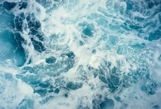 ΩΚΕΑΝΟΙ ΧΗΜΙΚΕΣ ΟΥΣΙΕΣ ΕΡΕΥΝΑ