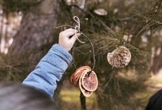 Πώς τα Οικολογικά Σχολεία φέρνουν τη Σύμπραξη της UNESCO για την Πράσινη Εκπαίδευση στην Ελλάδα