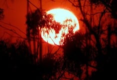 ΚΛΙΜΑΤΙΚΗ ΚΡΙΣΗ ΖΕΣΤΗ ΠΑΓΕΤΩΝΕΣ