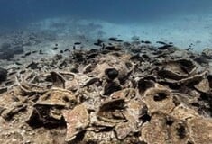 ΑΡΧΑΙΟΛΟΓΙΚΟ ΧΩΡΟΙ ΝΑΥΑΓΙΑ