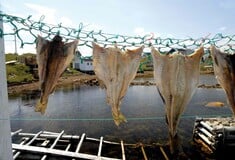 Ακολουθώντας τα (γαστρονομικά) ίχνη του μπακαλιάρου στη βόρεια Ισπανία