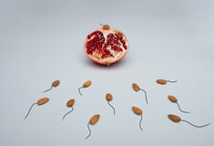Οι συχνότερες εκσπερματώσεις μπορεί να βελτιώσουν τη γονιμότητα των ανδρών