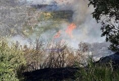 ΦΩΤΙΑ ΚΕΦΑΛΟΝΙΑ 