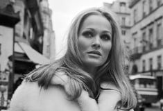 ΟΥΡΣΟΥΛΑ ΑΝΤΡΕΣ ΙΤΑΛΙΑ ΑΠΑΤΗ ΥΠΕΞΑΙΡΕΣΗ