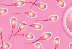 Οι συχνότερες εκσπερματώσεις μπορεί να βελτιώσουν τη γονιμότητα των ανδρών