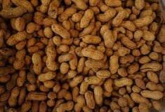 ΕΦΕΤ ΦΙΣΤΙΚΙ ΑΝΑΚΛΗΣΗ