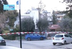 ΟΒΙΔΑ ΠΕΥΚΗ ΠΑΙΔΙΑ ΕΞΟΥΔΕΤΕΡΩΣΗ