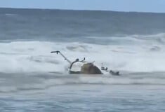 ΣΥΝΤΡΙΒΗ ΤΟΥΡΙΣΤΕΣ ΕΛΙΚΟΠΤΕΡΟ ΧΑΒΑΗ