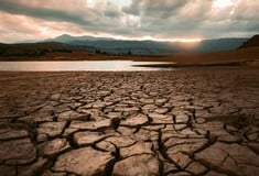 ΞΗΡΑΣΙΑ ΑΝΤΙΒΙΟΤΙΚΑ ΕΡΕΥΝΑ