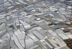 ΙΣΠΑΝΙΑ ΑΝΔΑΛΟΥΣΙΑ ΘΕΡΜΟΚΗΠΙΑ