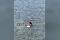 ΓΛΑΡΟΣ ΘΕΡΜΗ ΔΙΑΣΩΣΗ