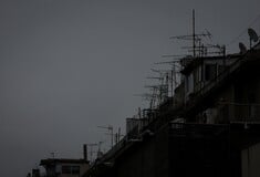 ΚΑΚΟΚΑΙΡΙΑ ΤΣΑΤΡΑΦΥΛΛΙΑΣ ΚΑΤΑΙΓΙΔΕΣ ΑΤΤΙΚΗ