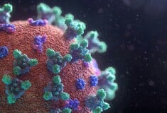 ΚΟΡΩΝΟΙΟΣ CICADA ΣΥΜΠΤΩΜΑΤΑ ΕΙΔΙΚΟΙ