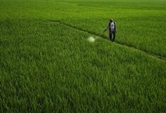 ΚΑΡΚΙΝΟΣ ΦΥΤΟΦΑΡΜΑΚΑ ΕΡΕΥΝΑ