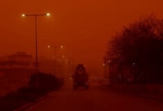 ΚΡΗΤΗ ΑΦΡΙΚΑΝΙΚΗ ΣΚΟΝΗ ΠΤΗΣΕΙΣ