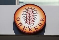 ΟΠΕΚΕΠΕ ΒΟΥΛΕΥΤΕΣ ΑΡΣΗ ΑΣΥΛΙΑΣ ΕΥΡΩΠΑΙΚΗ ΕΙΣΑΓΓΕΛΙΑ