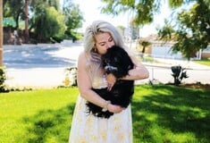 Οταν η AI δεν γράφει κείμενα, αλλά βρίσκει χαμένους σκύλους και γάτες