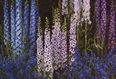 Θέλω να δεις τα λουλούδια όπως τα βλέπω εγώ 