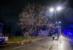 ΚΑΚΟΚΑΙΡΙΑ ERMINIO ΝΕΚΡΟΣ ΝΕΑ ΜΑΚΡΗ