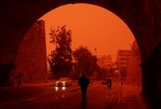 ΚΡΗΤΗ ΑΦΡΙΚΑΝΙΚΗ ΣΚΟΝΗ