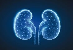 Η Boehringer Ingelheim εντείνει τις δράσεις της για τη χρόνια νεφρική νόσο