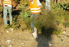 ΑΚΑΘΑΡΙΣΤΑ ΟΙΚΟΠΕΔΑ 2026 ΑΙΤΗΣΕΙΣ