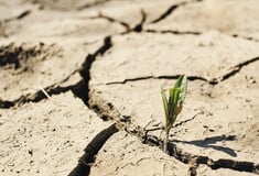 ΠΟΥ και Lancet προειδοποιούν ότι η κλιματική κρίση στοιχίζει 10 εκατ. ζωές ετησίως 