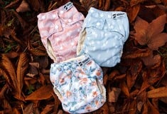 ΙΑΠΩΝΙΑ ΠΑΝΕΣ ΑΝΑΚΥΚΛΩΣΗ